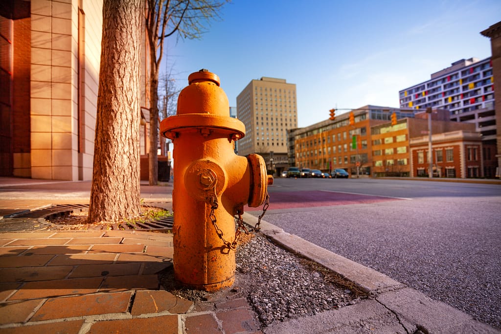 Fire hydrant on sidewalk - Park next to a fire hydrant
