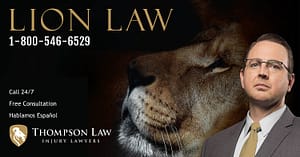 Lion Law Image 2
