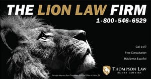 lion law