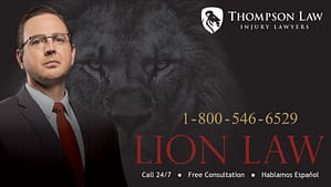 Lion Law 1