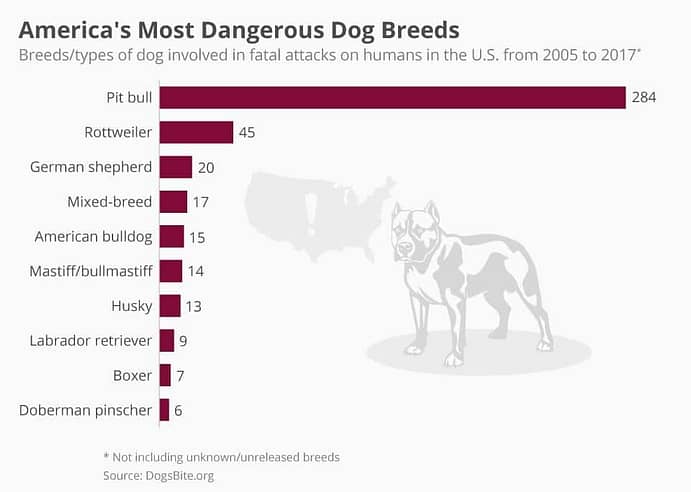 Most Dangerous Dog Breeds in the U.S. - Dogs involved in most fatal attacks on humans