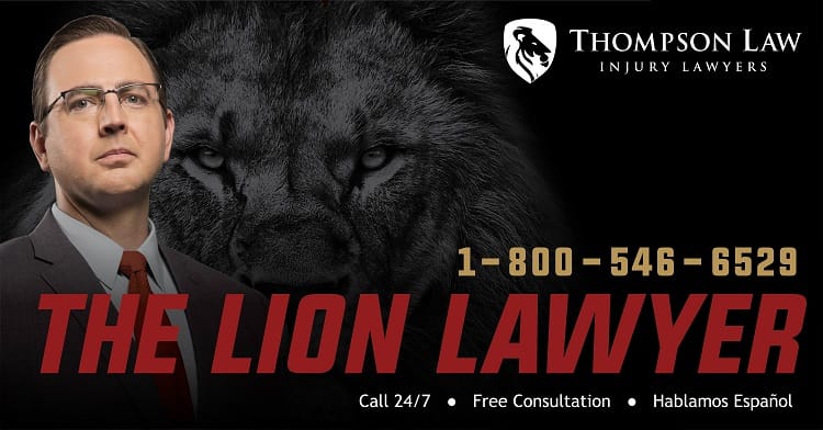 The Lion Lawyer Image 1
