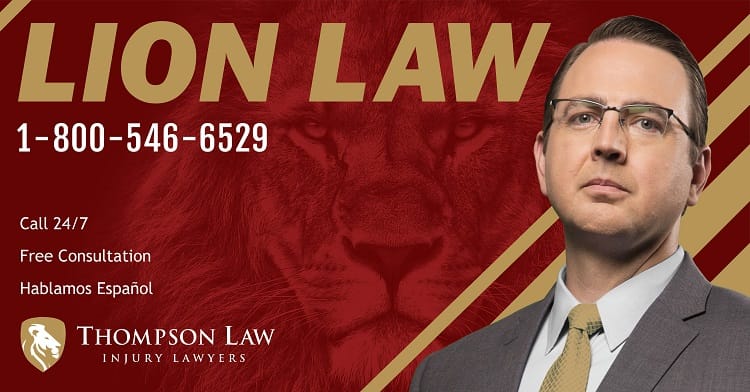 Lion Law Image 3