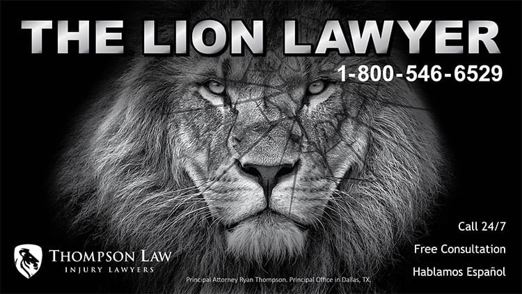 El abogado león