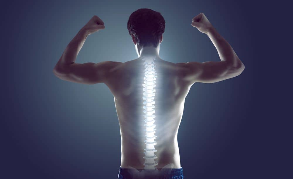10 Tips to Keep Your Spine Happy and Healthy